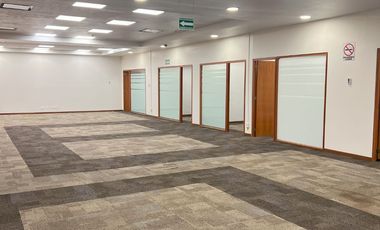 OFICINAS DISPONIBLES DESDE 142m2 