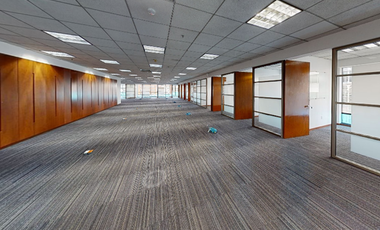 OFICINAS DISPONIBLES DESDE 142m2 
