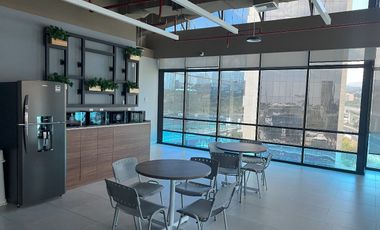OFICINAS DISPONIBLES DESDE 142m2 