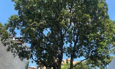 SE VENDE EXCELENTE TERRENO PLANO EN JARDINES EN LA MONTAÑA