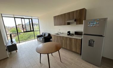 Departamento con vista al Lago de Chapala y rooftop