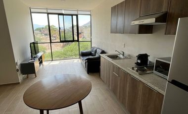 Departamento con vista al Lago de Chapala y rooftop