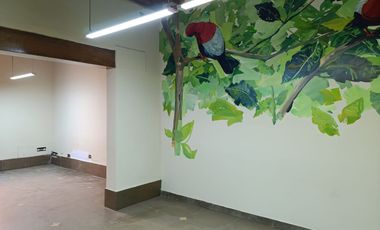 Alquiler de Casa en Barranco