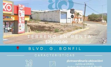 Se Renta Lote