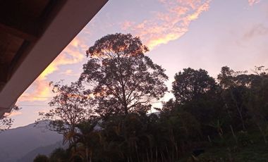 Finca en Venta Vereda la Clara de Ebéjico en Antioquia