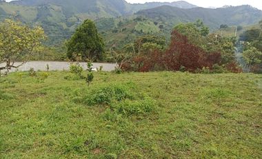 Finca en Venta Vereda la Clara de Ebéjico en Antioquia