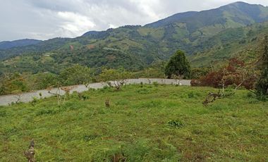 Finca en Venta Vereda la Clara de Ebéjico en Antioquia