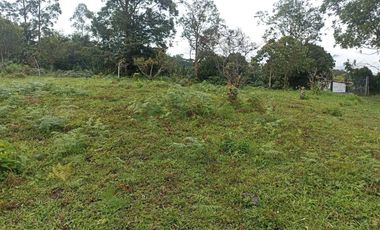 Finca en Venta Vereda la Clara de Ebéjico en Antioquia