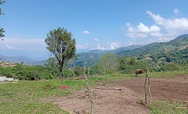 Finca en Venta Vereda la Clara de Ebéjico en Antioquia