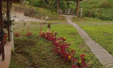 Finca en Venta Vereda la Clara de Ebéjico en Antioquia