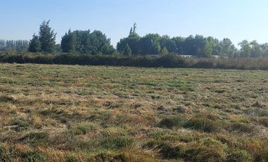 Vende Parcela Km 10 a Cato