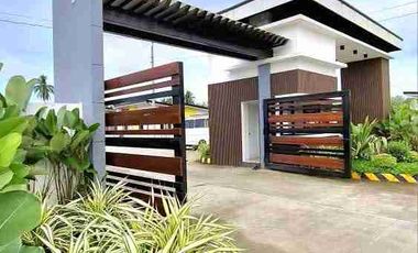 affordable house and lot for sale in San francisco agusan del sur