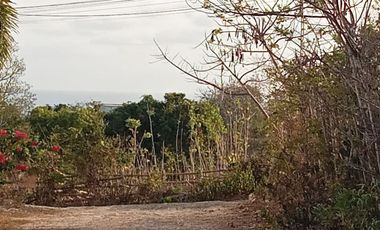 Freehold - Tanah 10 are di Jln Karang Putih Kutuh - kuta selatan