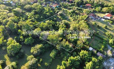 Ocean View - Tanah 7864m² di Sawangan Nusa dua