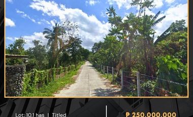 Land for sale in Laguna, Alaminos