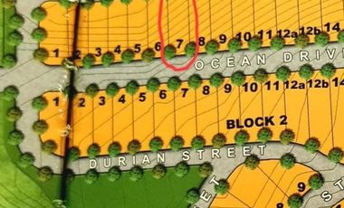 Boracay Newcoast - Shophouse District Commercial Lot Code 8265