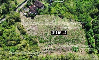 Freehold land sale 10150m² - Karang Mas Jimbaran