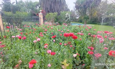 Casona patronal 4 D 4 B 541 m2 en 9.851 m2 de parque