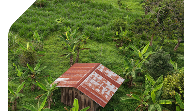 Terreno en Sucúa, venta de terrenos en Morona Santiago. Venta de terreno en la Amazonía.