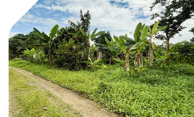 Terreno en Sucúa, venta de terrenos en Morona Santiago. Venta de terreno en la Amazonía.