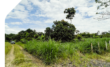 Terreno en Sucúa, venta de terrenos en Morona Santiago. Venta de terreno en la Amazonía.