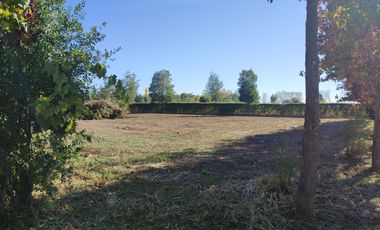 Parcela 1.7 ha con casa 6 Dormitorios