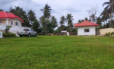 A Splendid House where a view of Apo island can be seen is located in Dauin and along cemented road.