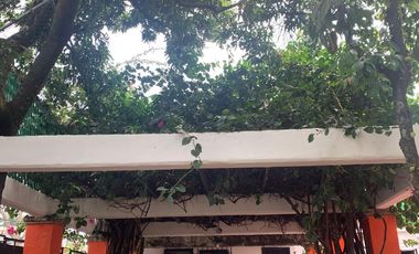 Propiedad Única con Doble Acceso, Uso Mixto y Arquitectura con Valor Patrimonial