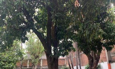 Propiedad Única con Doble Acceso, Uso Mixto y Arquitectura con Valor Patrimonial