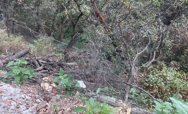 EXCELENTE TERRENO PLANO SAYAVEDRA,