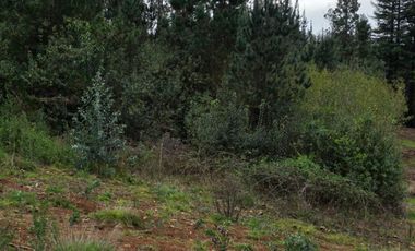 Se vende parcela en Condominio Terrazas de Valdivia