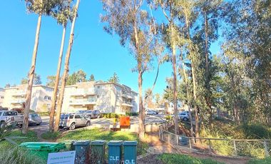 SE ARRIENDA HERMOSO Y ELEGANTE DEPARTAMENTO EN ALGARROBO
