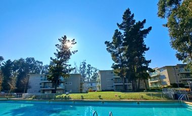 SE ARRIENDA HERMOSO Y ELEGANTE DEPARTAMENTO EN ALGARROBO