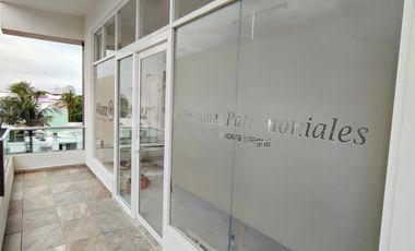 Locales desde 48 m² en Plaza Palmeras en el Fracc. Jardines de Virginia