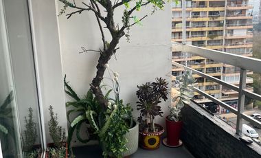 MARAVILLOSO DEPARTAMENTO TOTALMENTE REMODELADO BILBAO/DUQUECO LAS CONDES