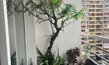 MARAVILLOSO DEPARTAMENTO TOTALMENTE REMODELADO BILBAO/DUQUECO LAS CONDES