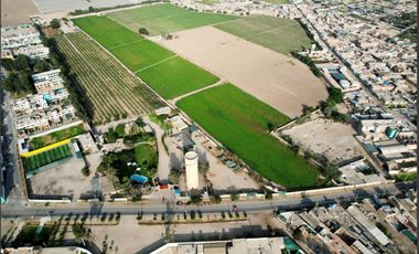 Terreno en Pisco, de 23.7 Hectáreas, altura Km 251