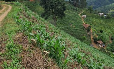 Venta Finca Cafetera en Santuario Risaralda