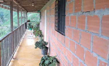 Venta Finca Cafetera en Santuario Risaralda