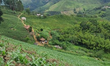 Venta Finca Cafetera en Santuario Risaralda