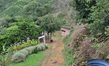Venta Finca Cafetera en Santuario Risaralda