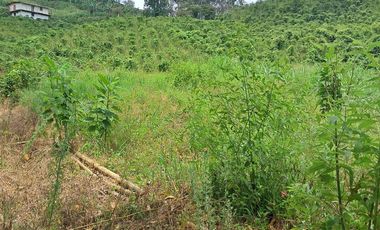 Venta Finca Cafetera en Santuario Risaralda