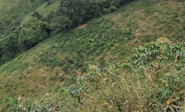 Venta Finca Cafetera en Santuario Risaralda
