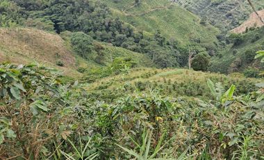 Venta Finca Cafetera en Santuario Risaralda