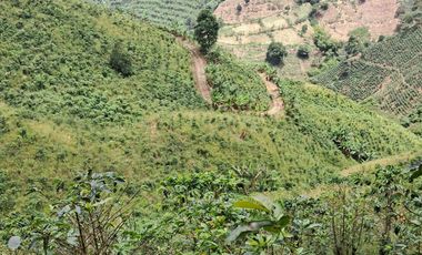 Venta Finca Cafetera en Santuario Risaralda