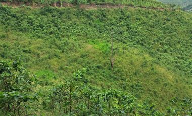 Venta Finca Cafetera en Santuario Risaralda