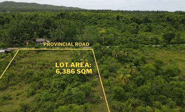 Flat Land for Sale – 6,386 SQM Prime Lot in Consuelo, San Francisco, Camotes Island, Cebu