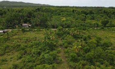 Flat Land for Sale – 6,386 SQM Prime Lot in Consuelo, San Francisco, Camotes Island, Cebu