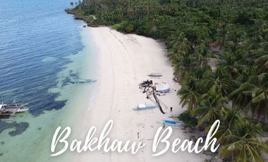 Flat Land for Sale – 6,386 SQM Prime Lot in Consuelo, San Francisco, Camotes Island, Cebu