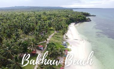 Flat Land for Sale – 6,386 SQM Prime Lot in Consuelo, San Francisco, Camotes Island, Cebu